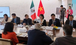 Th&#250;c đẩy hợp t&#225;c y tế Việt Nam – Mexico tr&#234;n cơ sở mối quan hệ truyền thống tốt đẹp