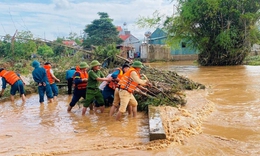 Khẩn cấp triển khai c&#225;c biện ph&#225;p ứng ph&#243; với b&#227;o số 15