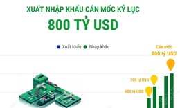 Xuất nhập khẩu cán mốc kỷ lục 800 tỷ USD