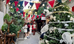 Ng&#245; nhỏ ở H&#224; Nội &#39;h&#250;t&#39; giới trẻ trước m&#249;a Gi&#225;ng sinh