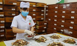 Ho&#224;n thiện h&#224;nh lang ph&#225;p l&#253; trong bảo tồn v&#224; ph&#225;t triển tri thức y học d&#226;n tộc