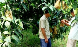 Vĩnh Long: Hướng đến mục ti&#234;u giảm ngh&#232;o bền vững, to&#224;n diện