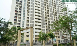 Người độc th&#226;n c&#243; thu nhập bao nhi&#234;u được mua nh&#224; ở x&#227; hội?