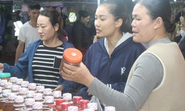 Hội chợ lớn nhất Hải Ph&#242;ng sau s&#225;p nhập c&#243; g&#236; đặc biệt?