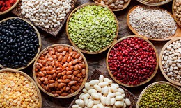 5 loại tinh bột n&#234;n ăn để đ&#225;nh bay mỡ bụng