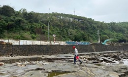 Hải Ph&#242;ng: Khắc phục t&#236;nh trạng sạt lở bờ k&#232; biển ở phường Đồ Sơn