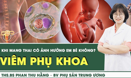 [LIVE] Viêm phụ khoa khi mang thai có ảnh hưởng đến thai nhi không?
