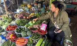 Gi&#225; rau xanh hạ nhiệt