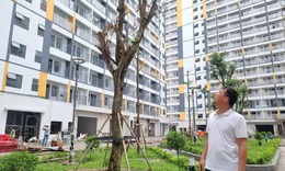 Người sinh 2 con trở l&#234;n ch&#237;nh thức được ưu ti&#234;n hưởng ch&#237;nh s&#225;ch nh&#224; ở x&#227; hội từ 1/7/2026