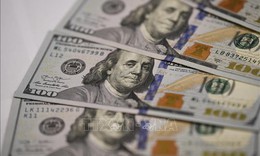Tỷ gi&#225; h&#244;m nay 12/12: Gi&#225; USD tiếp tục giảm