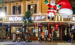 H&#224; Nội lung linh với h&#224;ng loạt c&#226;y th&#244;ng Noel khổng lồ