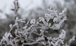 Đợt rét ở miền Bắc kéo dài đến khi nào? 