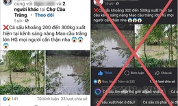 Triệu tập thanh niên đưa tin bịa đặt về cá sấu 'khổng lồ'