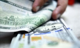 Tỷ giá hôm nay 18/12: Giá USD tăng tiếp, đồng NDT giảm nhẹ