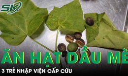 3 trẻ nhập viện cấp cứu v&#236; ăn hạt dầu m&#232; mọc hoang