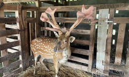 H&#224; Tĩnh đẩy mạnh c&#244;ng t&#225;c giảm ngh&#232;o bền vững