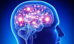 Đột ngột đau đầu, nhức hai b&#234;n hốc mắt v&#236; mắc giang mai thần kinh
