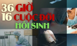 36 giờ, 16 cuộc đời hồi sinh dưới &#225;nh đ&#232;n kh&#244;ng hắt b&#243;ng