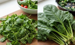 7 lý do cải bó xôi là một trong những loại rau xanh tốt nhất cho sức khỏe