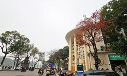 Miền Bắc nắng ban ngày trước khi chuyển mưa rải rác từ 24/12