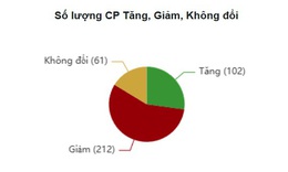 Xu hướng chứng khoán 24/12, hạn chế mua đuổi