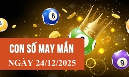 Con số may mắn hôm nay 24/12 - số cát lành - số tài lộc 12 con giáp