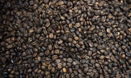 Thị trường nông sản: Lý do giá cà phê trên thế giới tăng vọt