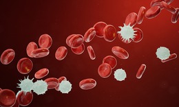 Tìm ra manh mối ngăn ung thư tái phát