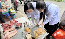 Ban Chỉ đạo liên ngành Trung ương lập 4 đoàn kiểm tra an toàn thực phẩm Tết Bính Ngọ tại 8 tỉnh, thành