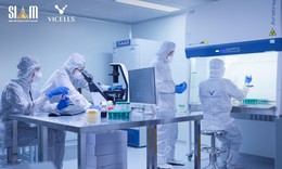Xu hướng kết hợp thẩm mỹ và lưu trữ tế bào gốc tại VICELLS