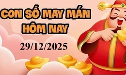 Con số may mắn hôm nay 29/12 - số tài lộc 12 con giáp đầu tuần