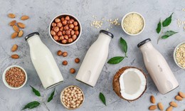 H&#224;nh tr&#236;nh từ hạt đến hộp sữa v&#224; b&#237; quyết giữ trọn dưỡng chất thực vật