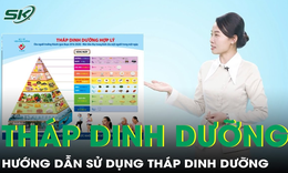 Hướng dẫn chi tiết c&#225;ch &#225;p dụng Th&#225;p Dinh dưỡng
