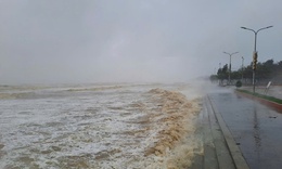 B&#227;o số 15 tan, Biển Đ&#244;ng c&#243; thể xuất hiện cơn b&#227;o mới