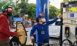 Gi&#225; xăng dầu tăng giảm đan xen, RON95 l&#234;n 20.460 đ/l&#237;t