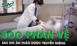 Ăn thảo dược truyền miệng, 2 người sốc phản vệ nghiêm trọng