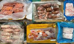 TPHCM: Phát hiện kho chứa hơn 30 tấn nội tạng động vật không nguồn gốc