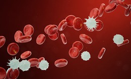 Lộ diện cơ chế né miễn dịch tinh vi của ung thư tế bào hắc tố