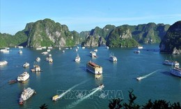 Việt Nam trở thành điểm đến được ưa chuộng hàng đầu năm 2026