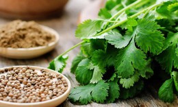 5 loại thực phẩm giúp thận lọc độc tố hiệu quả