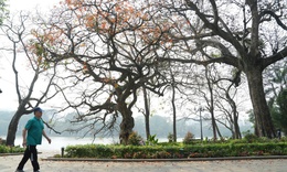 Nguyên nhân nền nhiệt mùa đông 2025 cao hơn trung bình nhiều năm