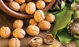 Hạt &#243;c ch&#243;, yến mạch: Bộ đ&#244;i gi&#250;p ph&#225;t triển tr&#237; n&#227;o, ti&#234;u h&#243;a khỏe mạnh cho trẻ