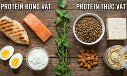 Protein động vật v&#224; protein thực vật - loại n&#224;o tốt hơn?