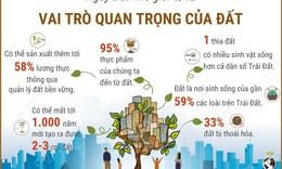 Ng&#224;y Đất Thế giới 5/12: Vai tr&#242; quan trọng của đất