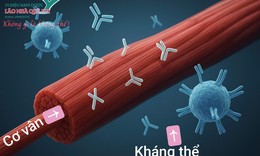 Trị liệu khai th&#244;ng cột sống – hỗ trợ phục hồi cho bệnh nh&#226;n kh&#225;ng thể tự miễn ti&#234;u cơ v&#226;n