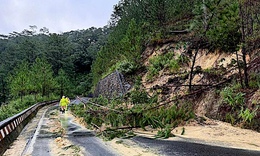Vết nứt tr&#234;n đ&#232;o D’Ran ph&#225;t triển, Quốc lộ 20 tiếp tục sạt lở