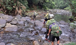 Những hiểm nguy trong h&#224;nh tr&#236;nh bảo vệ động vật hoang d&#227; qu&#253; hiếm
