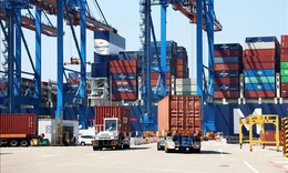 11 th&#225;ng, xuất si&#234;u hơn 20,5 tỷ USD