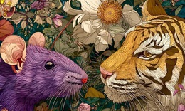 Tử vi 12 con giáp hôm nay 7/12: Mão sự nghiệp tốt, Ngọ ăn nên làm ra