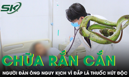 Sai lầm phổ biến sau khi bị rắn độc cắn khiến người đ&#224;n &#244;ng nguy kịch